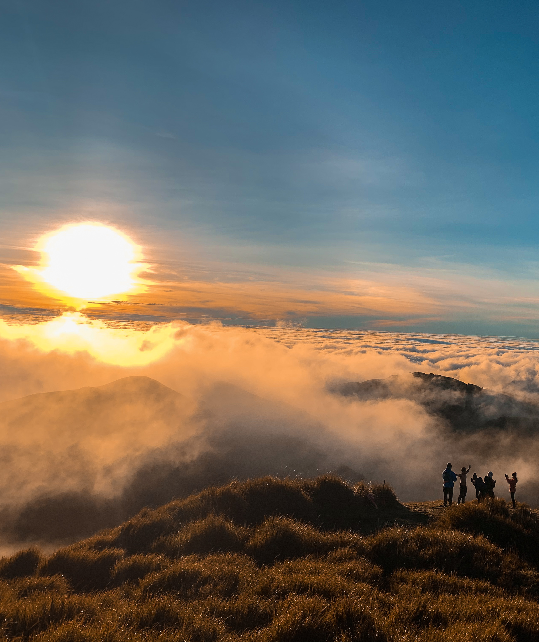 Read more about the article Hiking Mount Pulag, Filippinerne